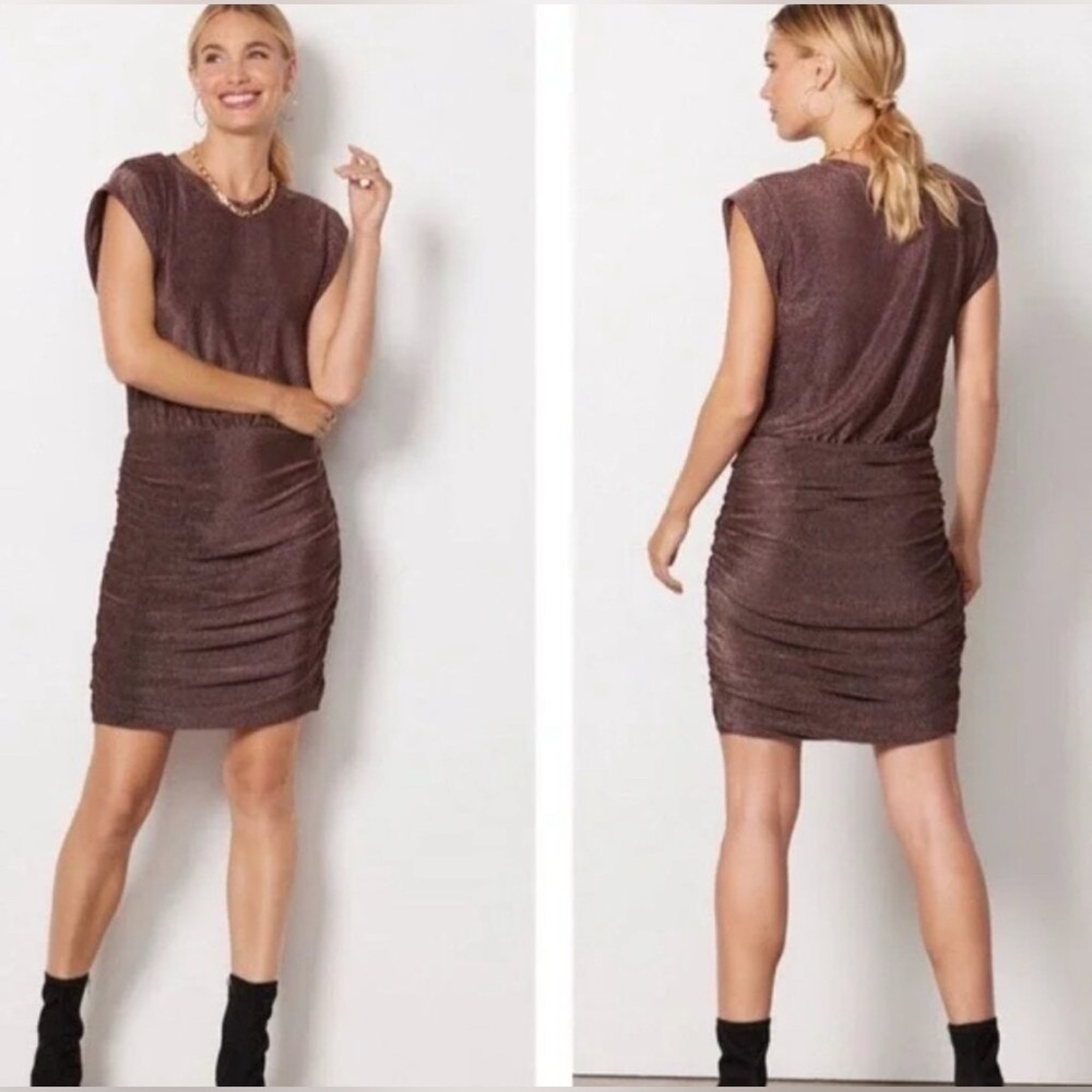 Evereve Ashlyn Sparkle Shimmering Brown Mini Dress NWT